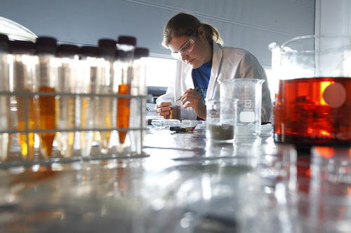 Forschung an der Universität Mainz